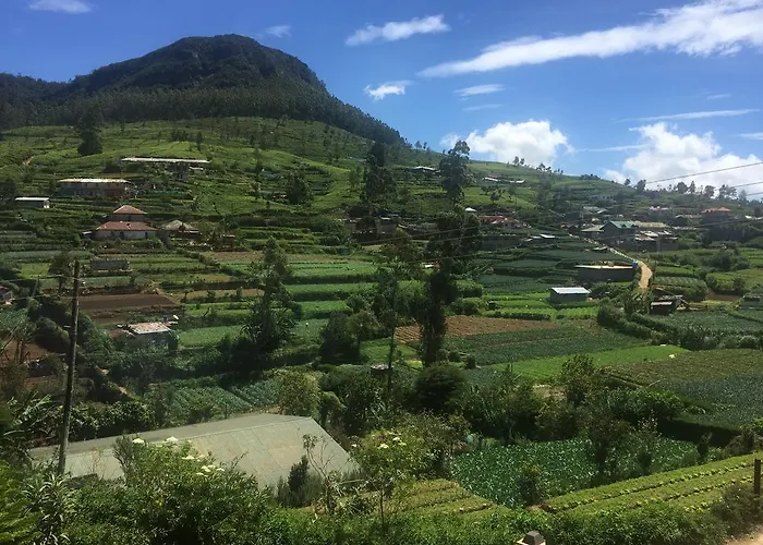 Perera Homestay