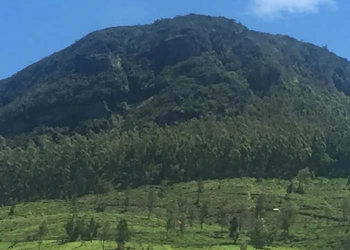 Perera Homestay
