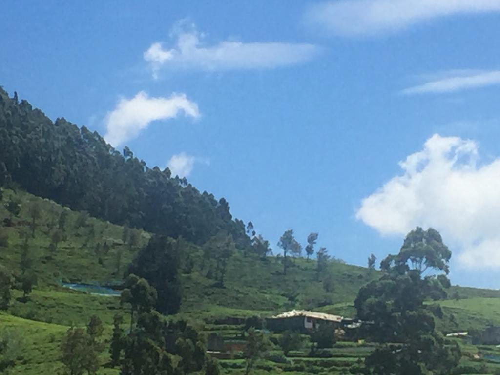 Perera *